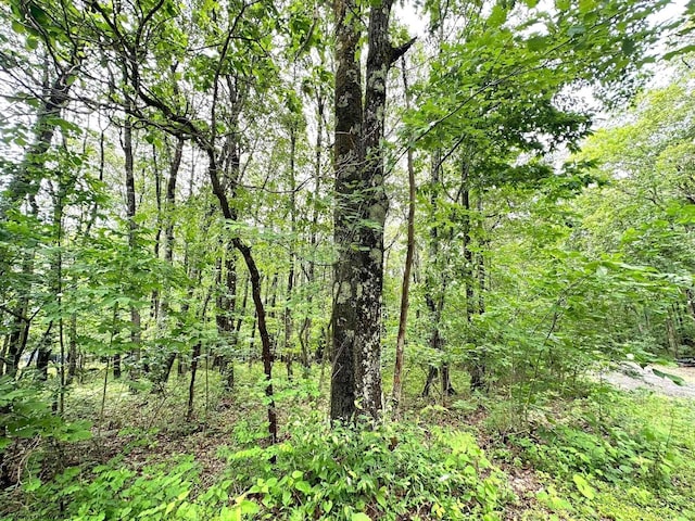 LOT14 Ash Ct, Terra Alta, WV 26764