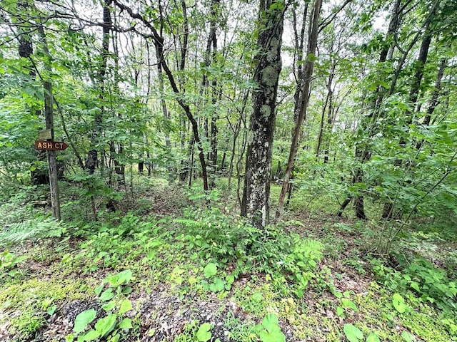 Listing photo 2 for LOT14 Ash Ct, Terra Alta WV 26764