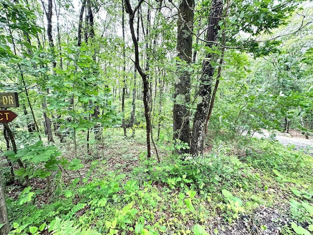 Listing photo 3 for LOT14 Ash Ct, Terra Alta WV 26764