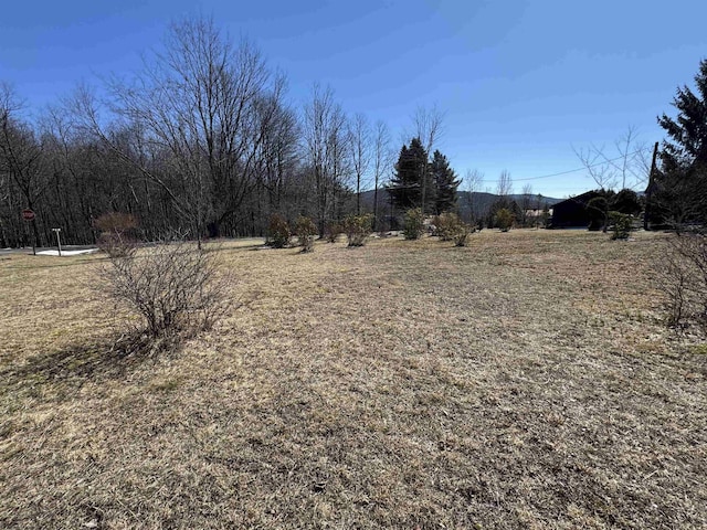 Listing photo 2 for LOT13 Cardinal Ln, Terra Alta WV 26764