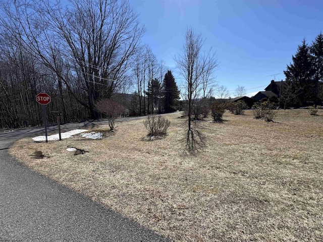 Listing photo 3 for LOT13 Cardinal Ln, Terra Alta WV 26764