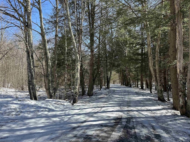 LOT16 Black Bear Trl, Davis, WV 26260