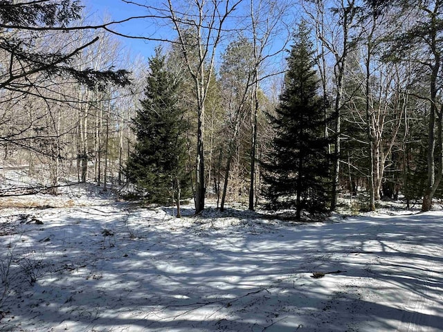 Listing photo 2 for LOT16 Black Bear Trl, Davis WV 26260