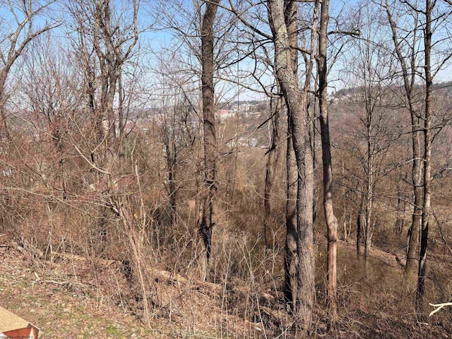 Listing photo 2 for TBD Buckhannon Ave, Morgantown WV 26501