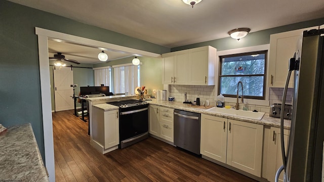 kitchen featuring tasteful backsplash, a sink, a peninsula, stainless steel appliances, and dark wood-style flooring