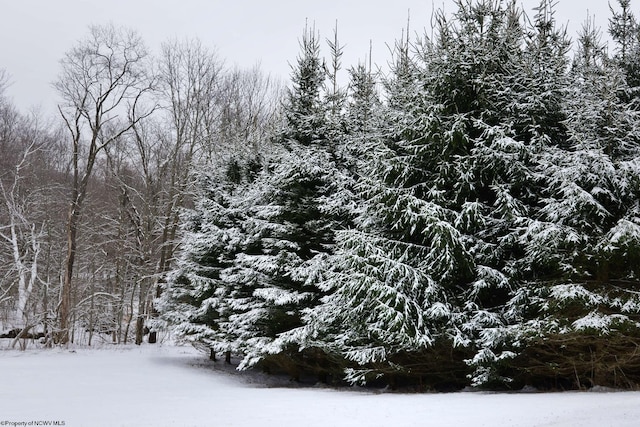 snowy landscape with a view of trees