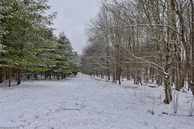 view of snowy view