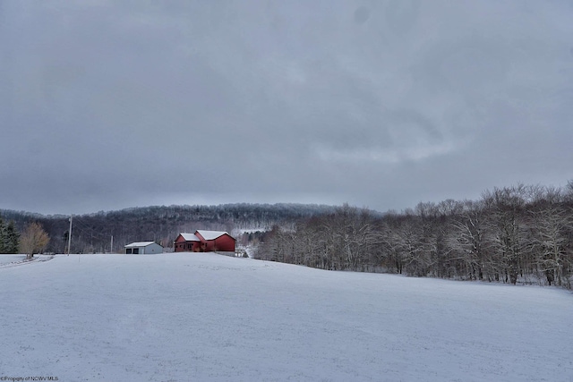 yard layered in snow with a wooded view and a garage