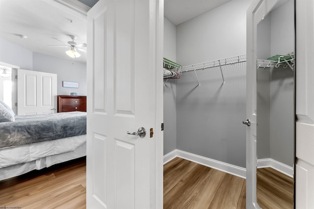 walk in closet featuring ceiling fan and wood finished floors