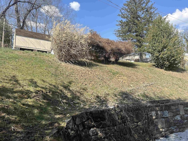 view of yard featuring an outdoor structure