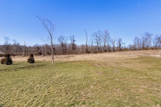 view of yard featuring a rural view