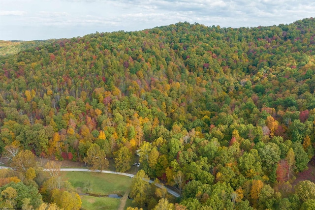 2882 Falling Rock Rd, Clendenin WV, 25045 land for sale