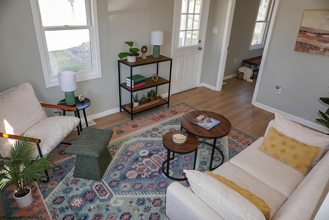 living area featuring baseboards and wood finished floors