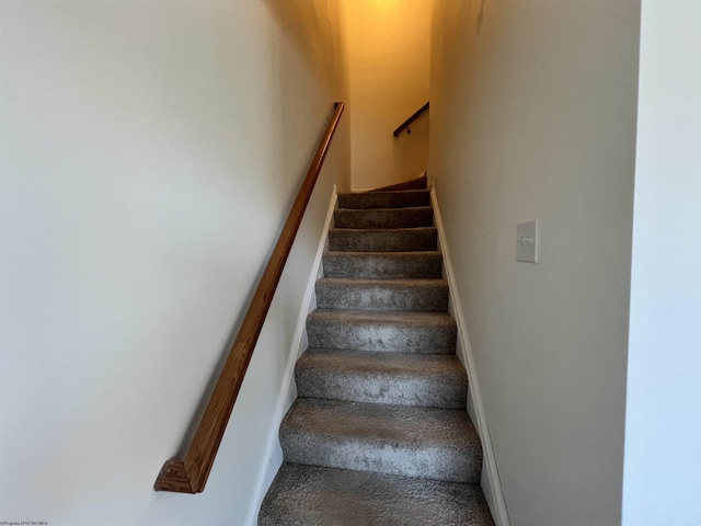 stairway featuring carpet flooring