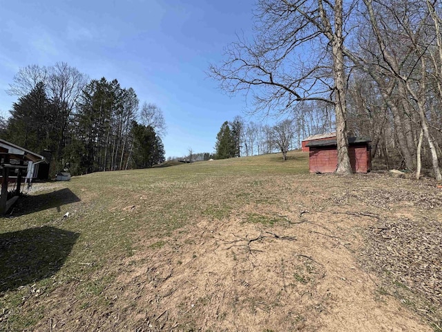 view of yard featuring an outdoor structure and a shed