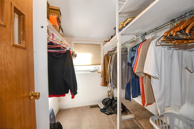 walk in closet with visible vents and carpet floors