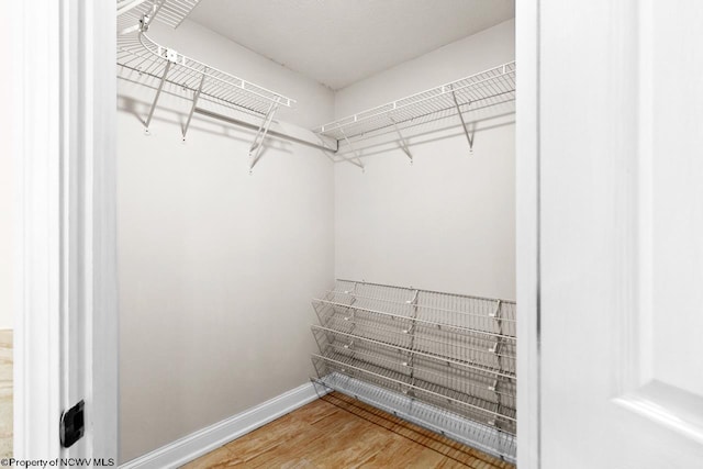 spacious closet featuring wood finished floors