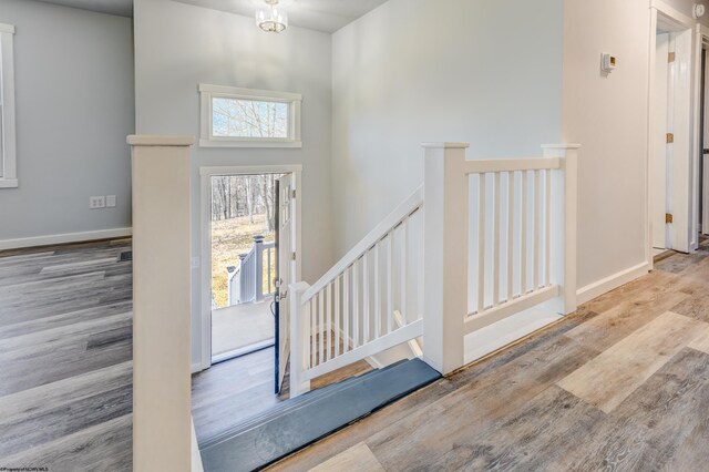 foyer entrance with a high ceiling, wood finished floors, and baseboards