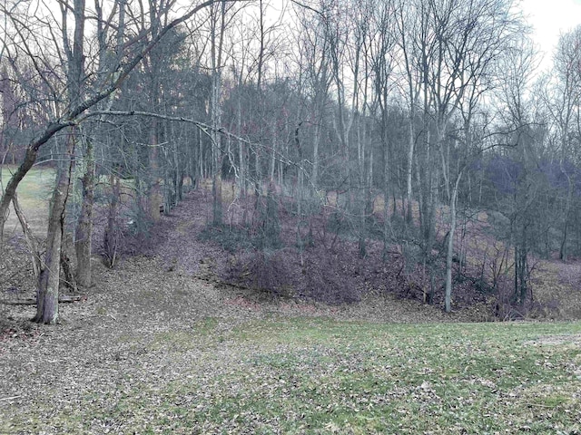 view of nature featuring a forest view