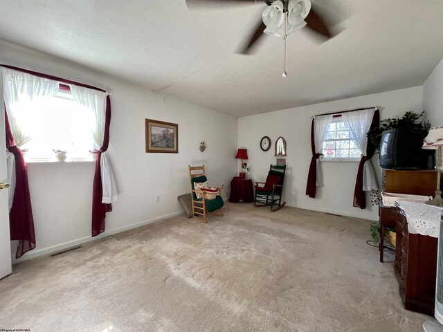 294 Landmark Ests, Jane Lew, WV 26378 - miscellaneous room with visible vents, carpet, and a ceiling fan
