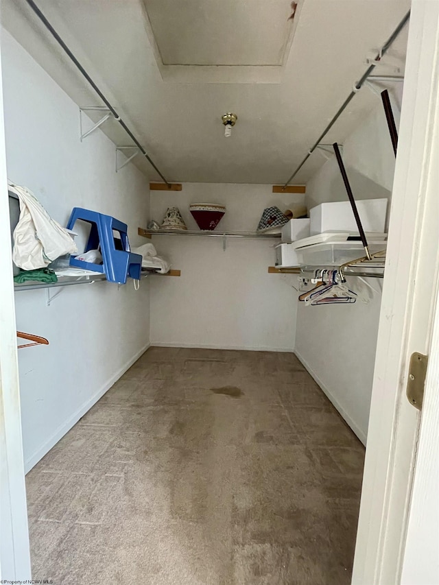 294 Landmark Ests, Jane Lew, WV 26378 - view of spacious closet