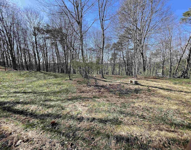 294 Landmark Ests, Jane Lew, WV 26378 - view of yard