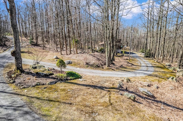 view of street with driveway and a view of trees