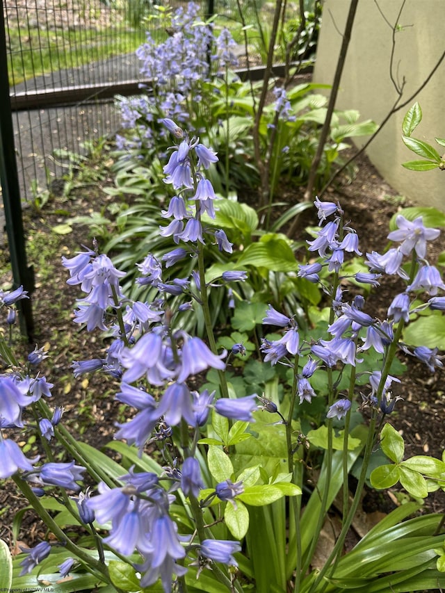 exterior details with fence