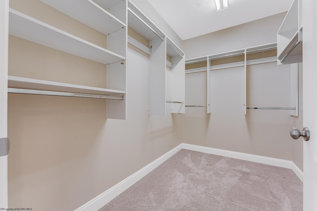 spacious closet featuring carpet flooring