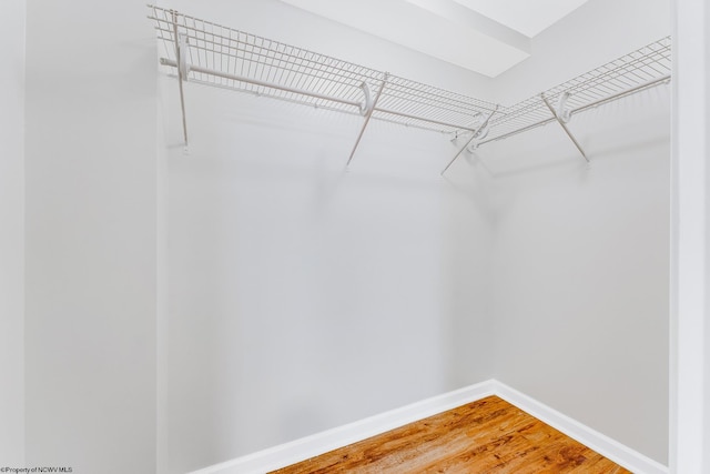 spacious closet with light wood finished floors