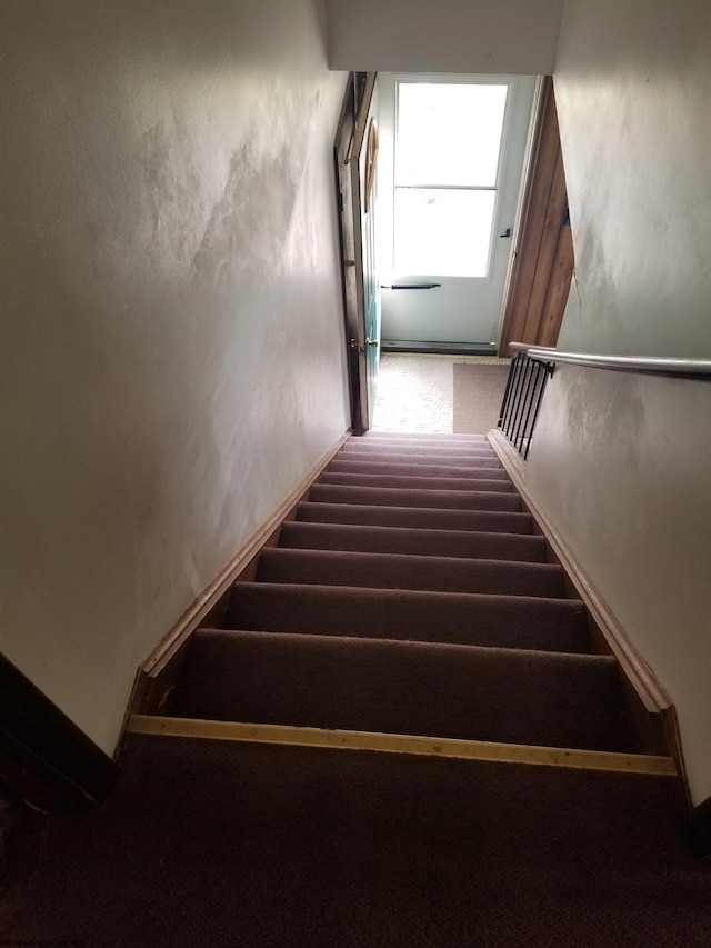 stairway with carpet