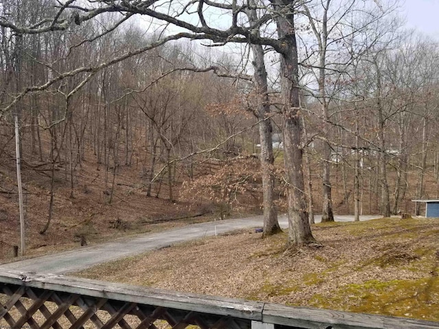 view of yard featuring a forest view