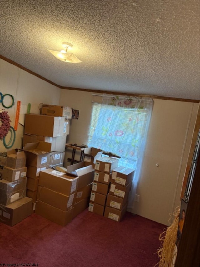 6615 Old Mill Rd, Jane Lew, WV 26378 - office area with carpet floors, a textured ceiling, and ornamental molding