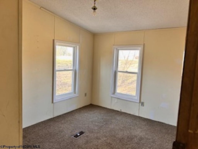 empty room featuring plenty of natural light, carpet, and a textured ceiling