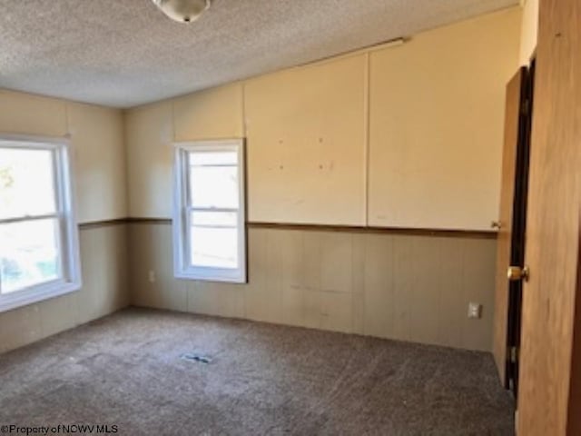 carpeted spare room featuring a healthy amount of sunlight and a textured ceiling