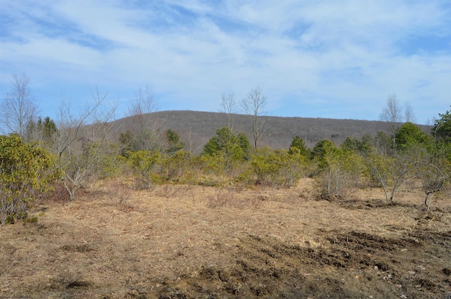 LOT4 Grosbeak Dr, Terra Alta, WV 26764