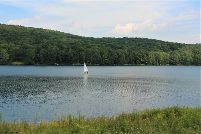 LOT4 Grosbeak Dr, Terra Alta, WV 26764