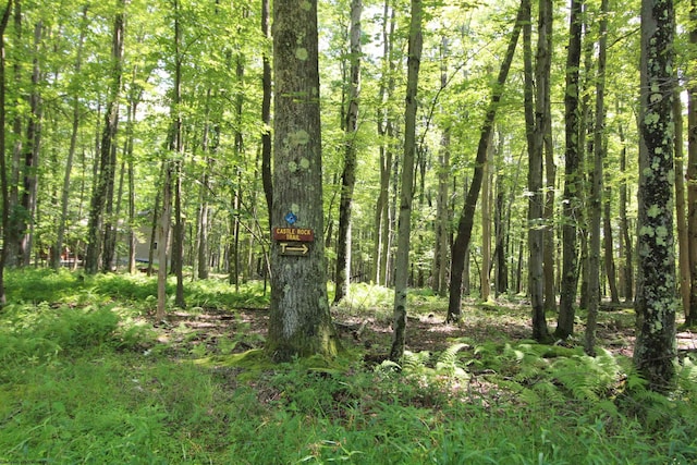 LOT4 Grosbeak Dr, Terra Alta, WV 26764
