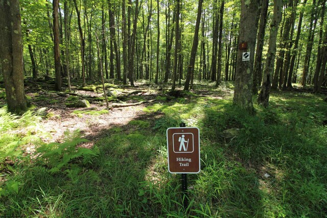 LOT4 Grosbeak Dr, Terra Alta, WV 26764