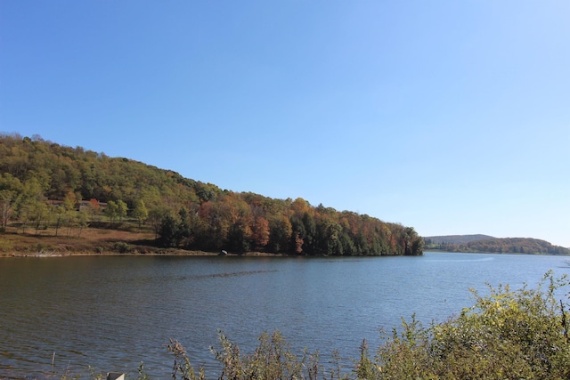 LOT4 Grosbeak Dr, Terra Alta, WV 26764