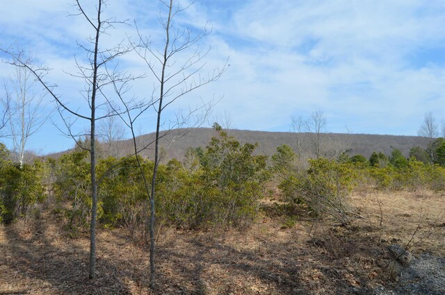 LOT4 Grosbeak Dr, Terra Alta, WV 26764
