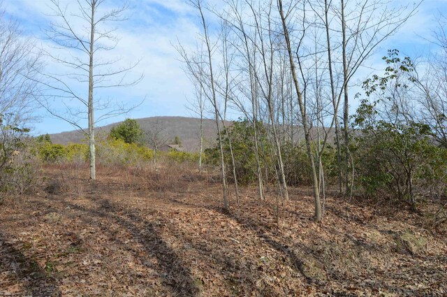 LOT4 Grosbeak Dr, Terra Alta, WV 26764