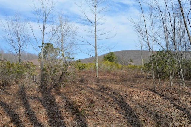 LOT4 Grosbeak Dr, Terra Alta, WV 26764