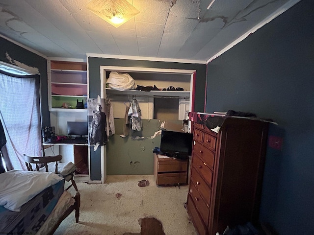 bedroom featuring a closet