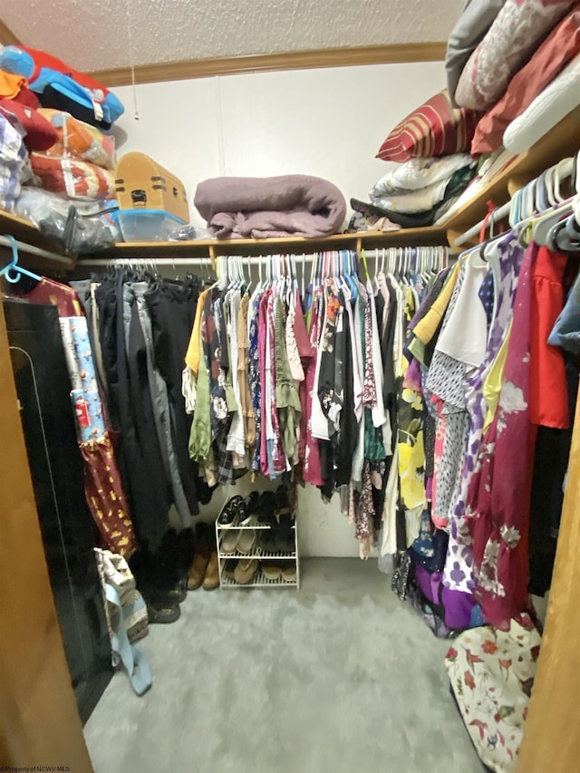 spacious closet with carpet