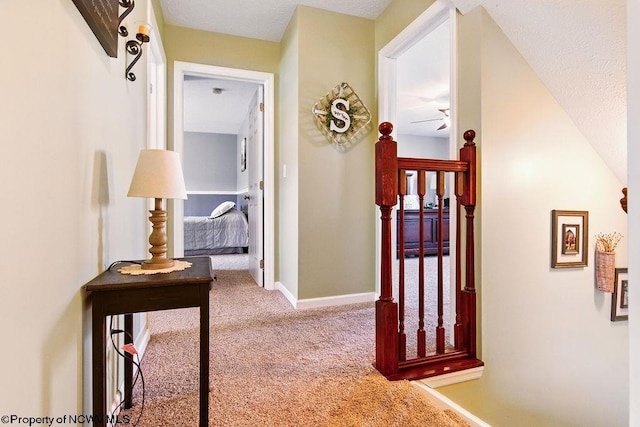 648 Ashberry Dr, Flemington, WV 26347 - hallway with carpet flooring and baseboards