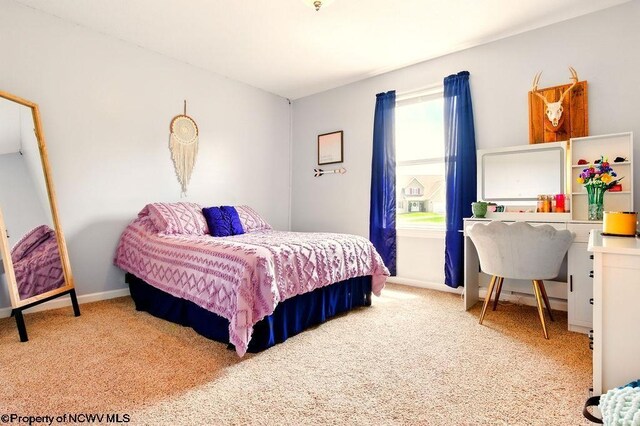 648 Ashberry Dr, Flemington, WV 26347 - bedroom featuring baseboards and carpet floors