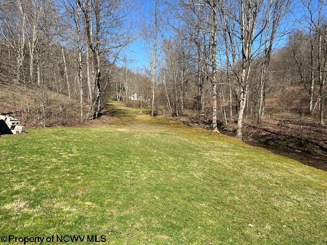 140 Roney Rd, Elkins, WV 26241 - view of yard featuring a wooded view