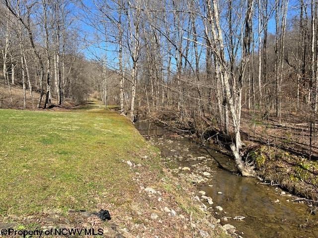 140 Roney Rd, Elkins, WV 26241 - view of yard