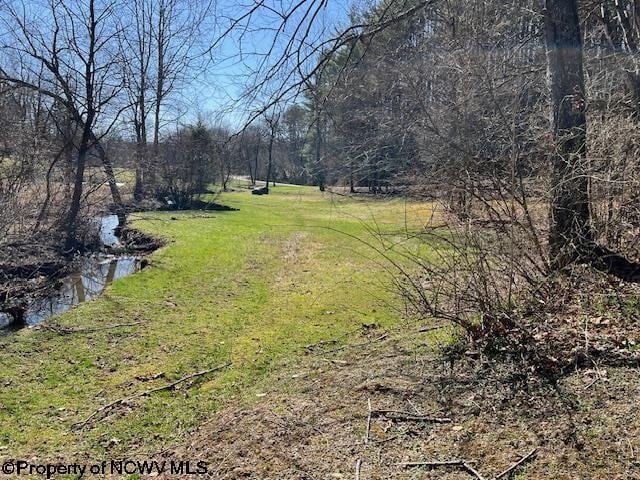 140 Roney Rd, Elkins, WV 26241 - view of yard